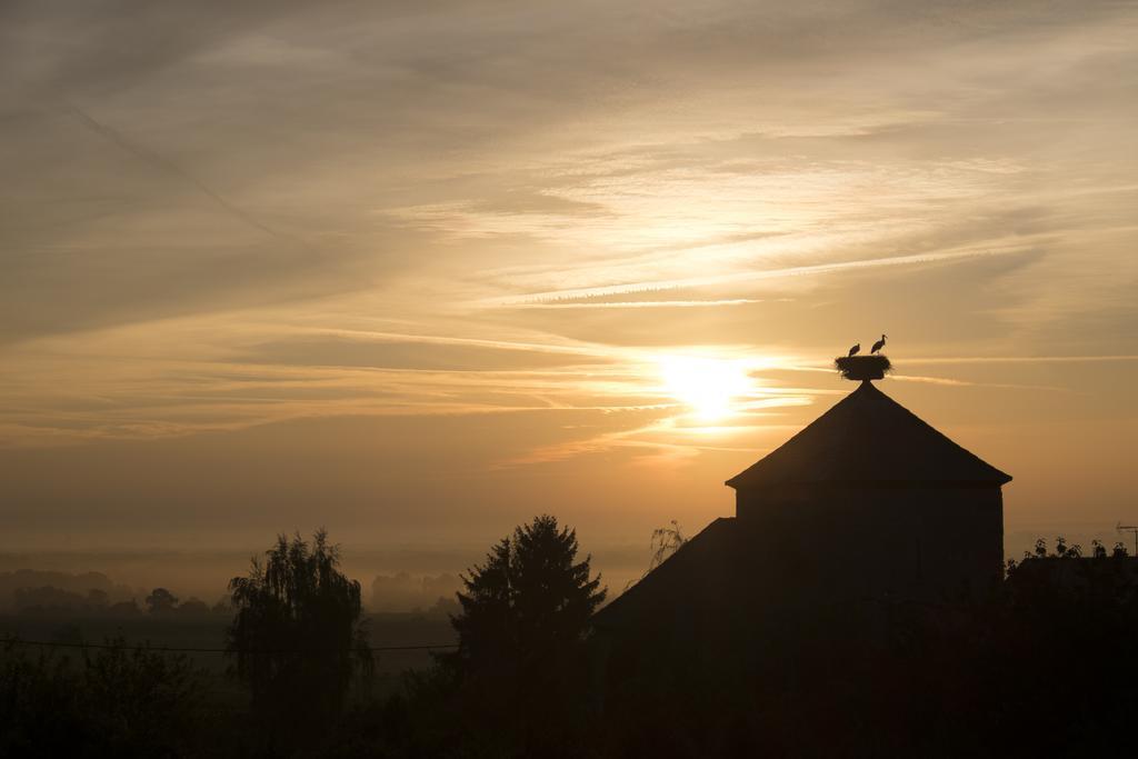 Le P'Tit Coin De Chez Nous Vila Dambach Exterior foto